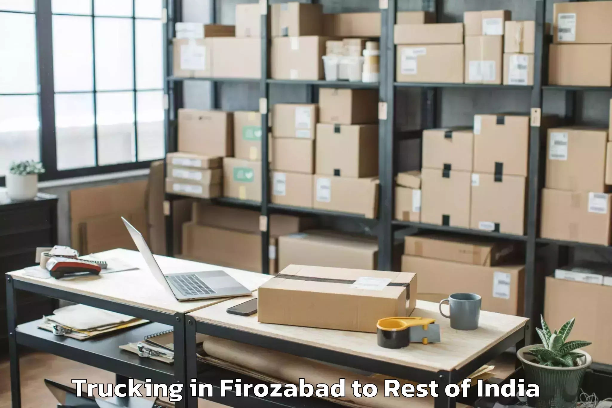 Leading Firozabad to Hajan Trucking Provider